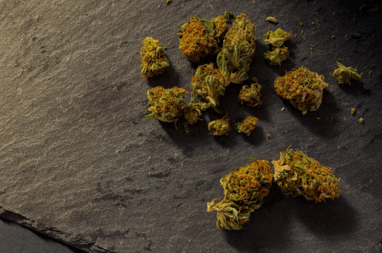 will cannabis show up in a blood test