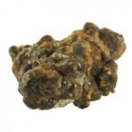 Hollandia Magic Truffles