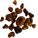 Magic Truffles Atlantis