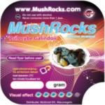 Magic Truffles Galindoi Mushrocks