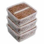 5 Magic Mushroom grow kit Discount Pack