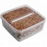 Magic Mushroom Grow Kit McKennaii
