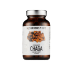Organic Chaga Mushroom - 60 Capsules