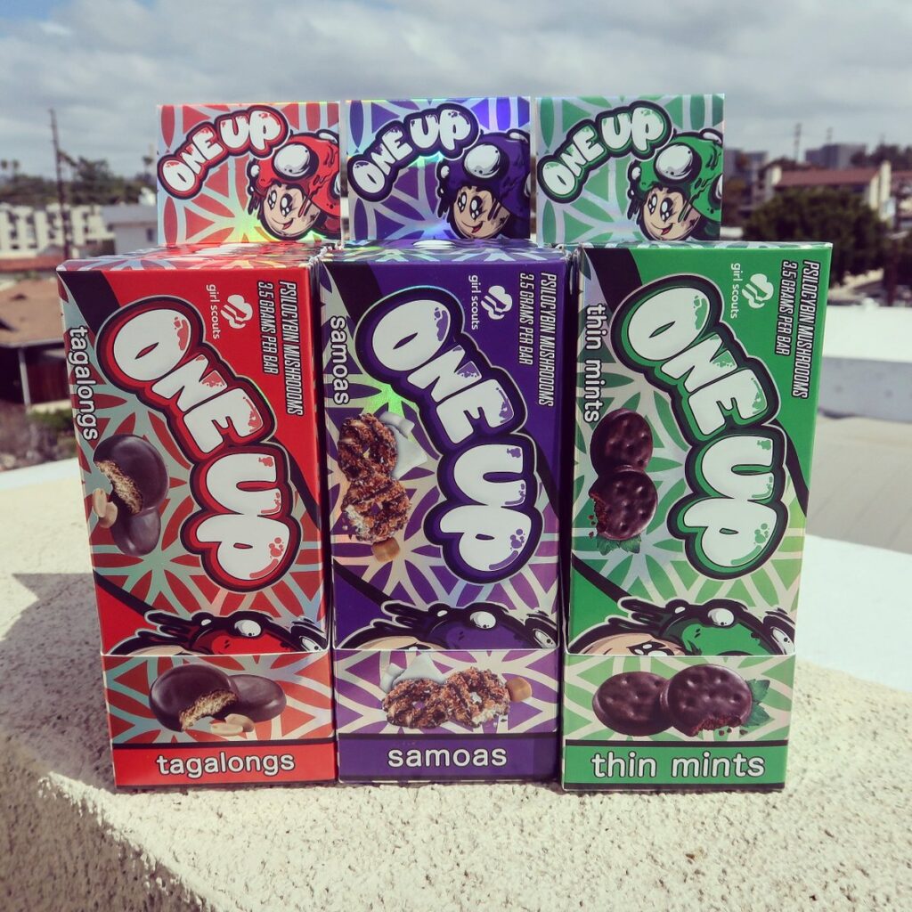 mushroom-chocolate2-1024x1024-1.jpg Thin Mints - Image 1